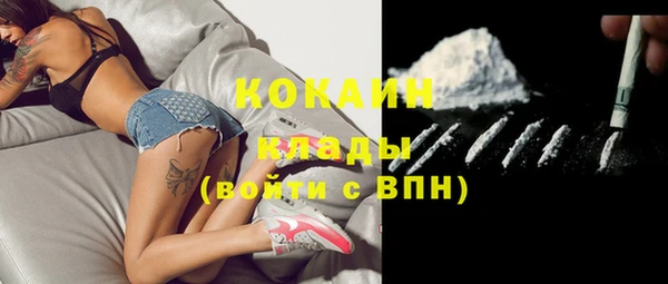 ГАЛЛЮЦИНОГЕННЫЕ ГРИБЫ Баксан