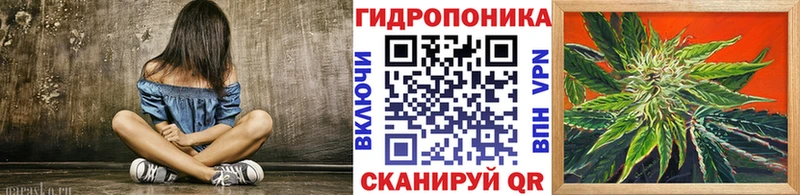 Каннабис семена  Певек 